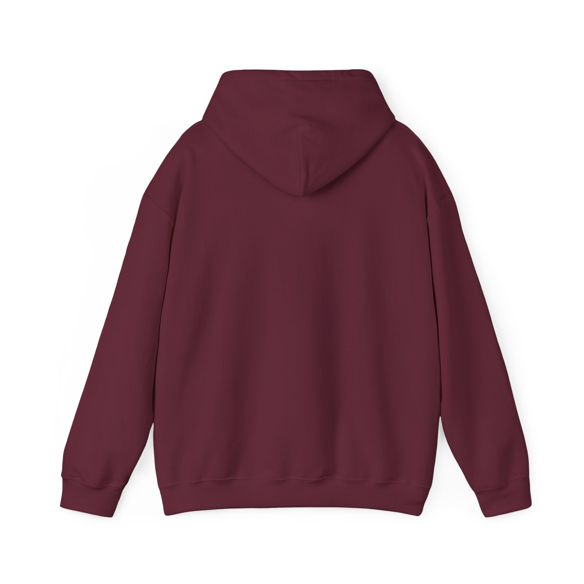 Hoodie — "Shabbos Goy" Bold Statement Pullover