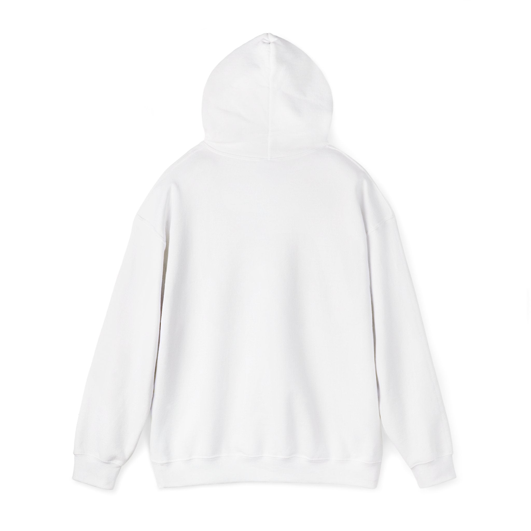 Hoodie — "Shabbos Goy" Bold Statement Pullover