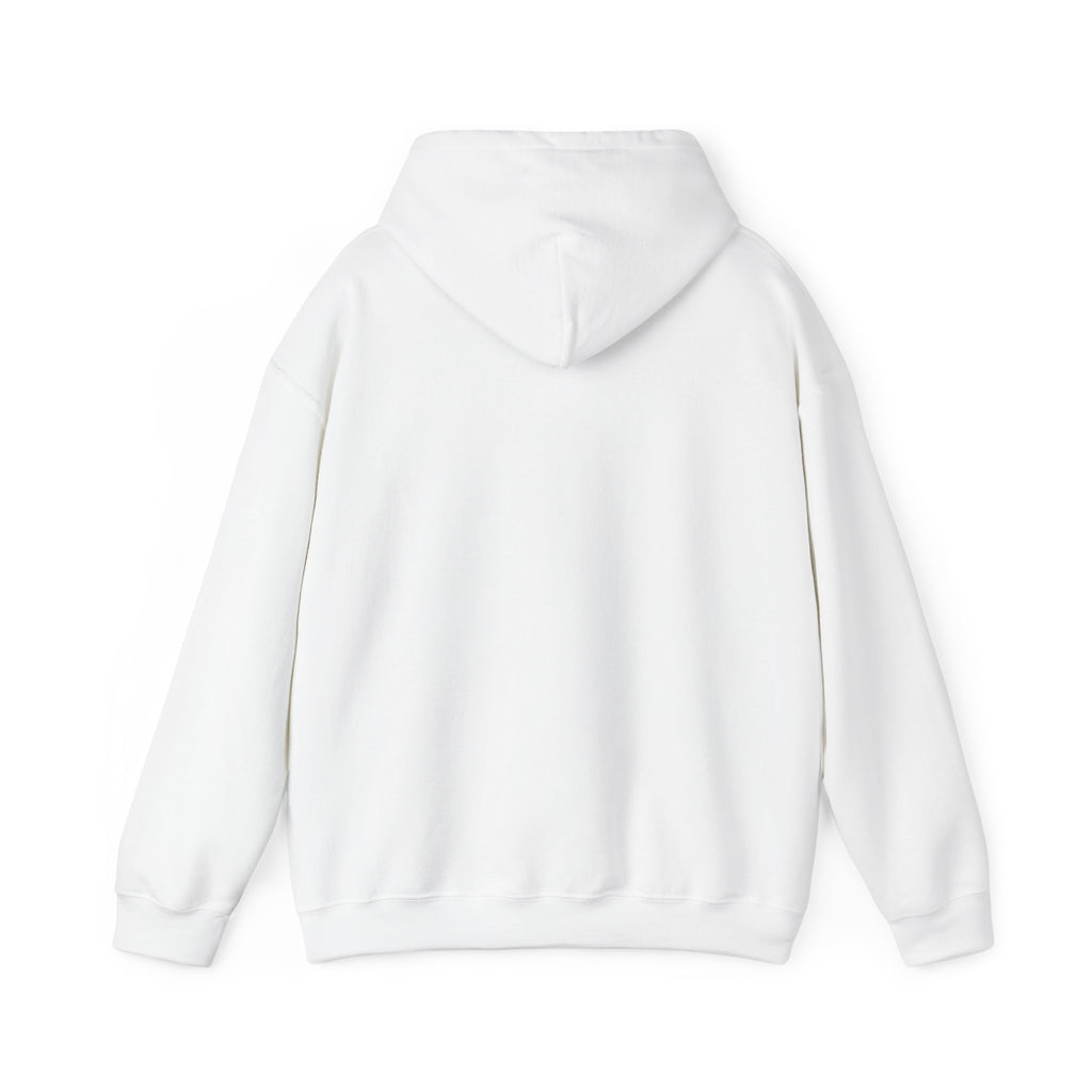 Hoodie — "Shabbos Goy" Bold Statement Pullover