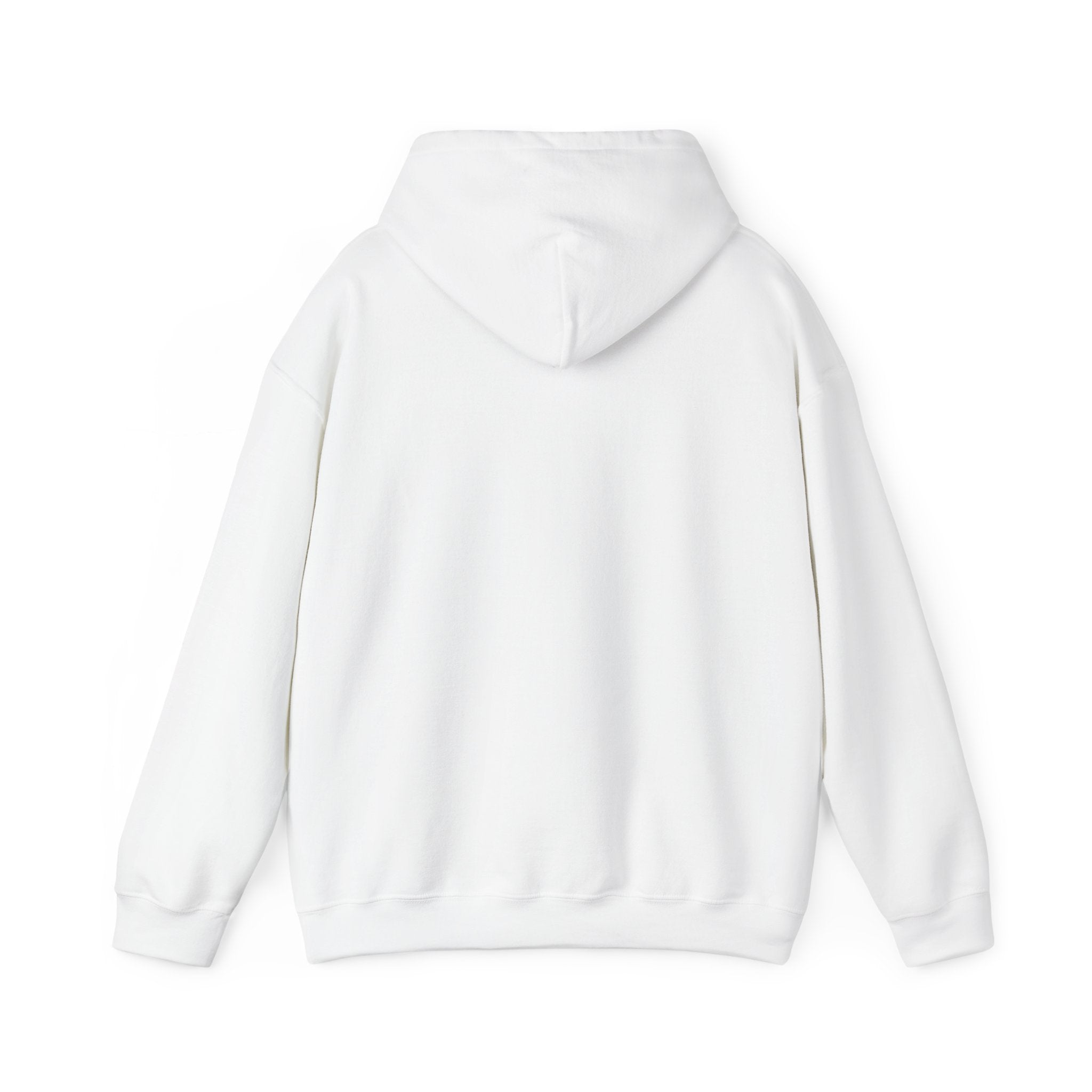 Hoodie — "Shabbos Goy" Bold Statement Pullover