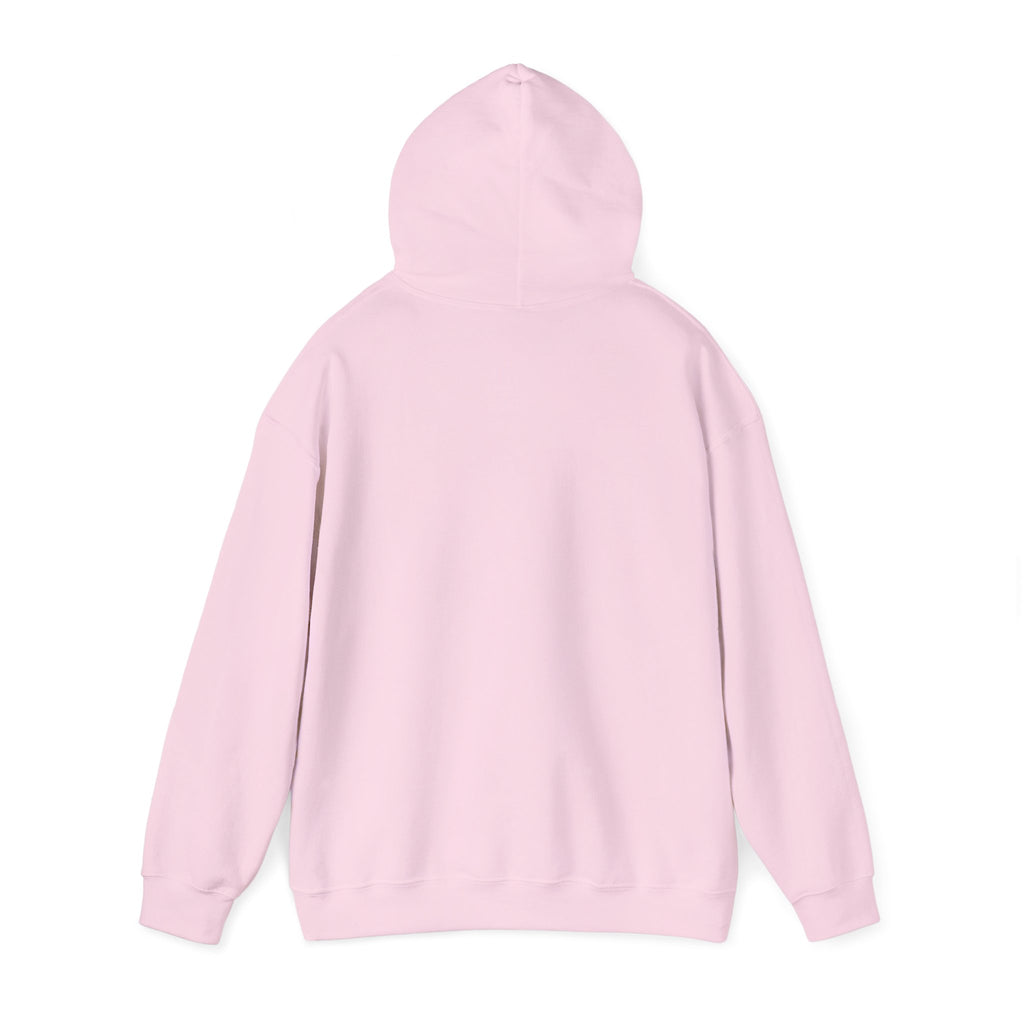 Hoodie — "Shabbos Goy" Bold Statement Pullover