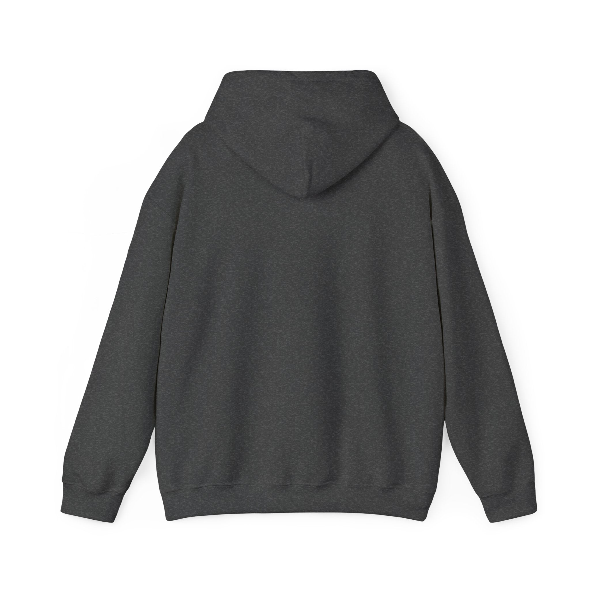 Hoodie — "Shabbos Goy" Bold Statement Pullover