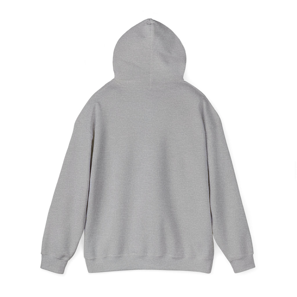 Hoodie — "Shabbos Goy" Bold Statement Pullover