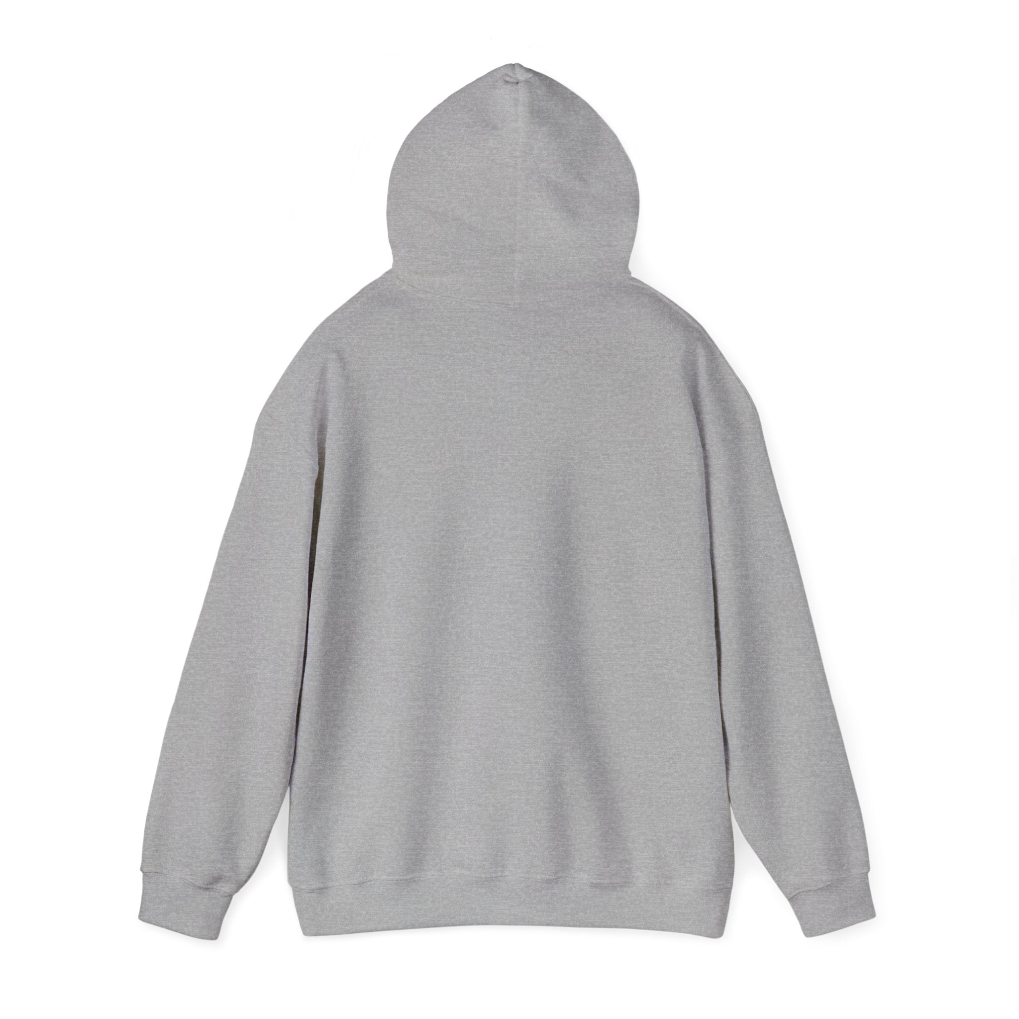 Hoodie — "Shabbos Goy" Bold Statement Pullover