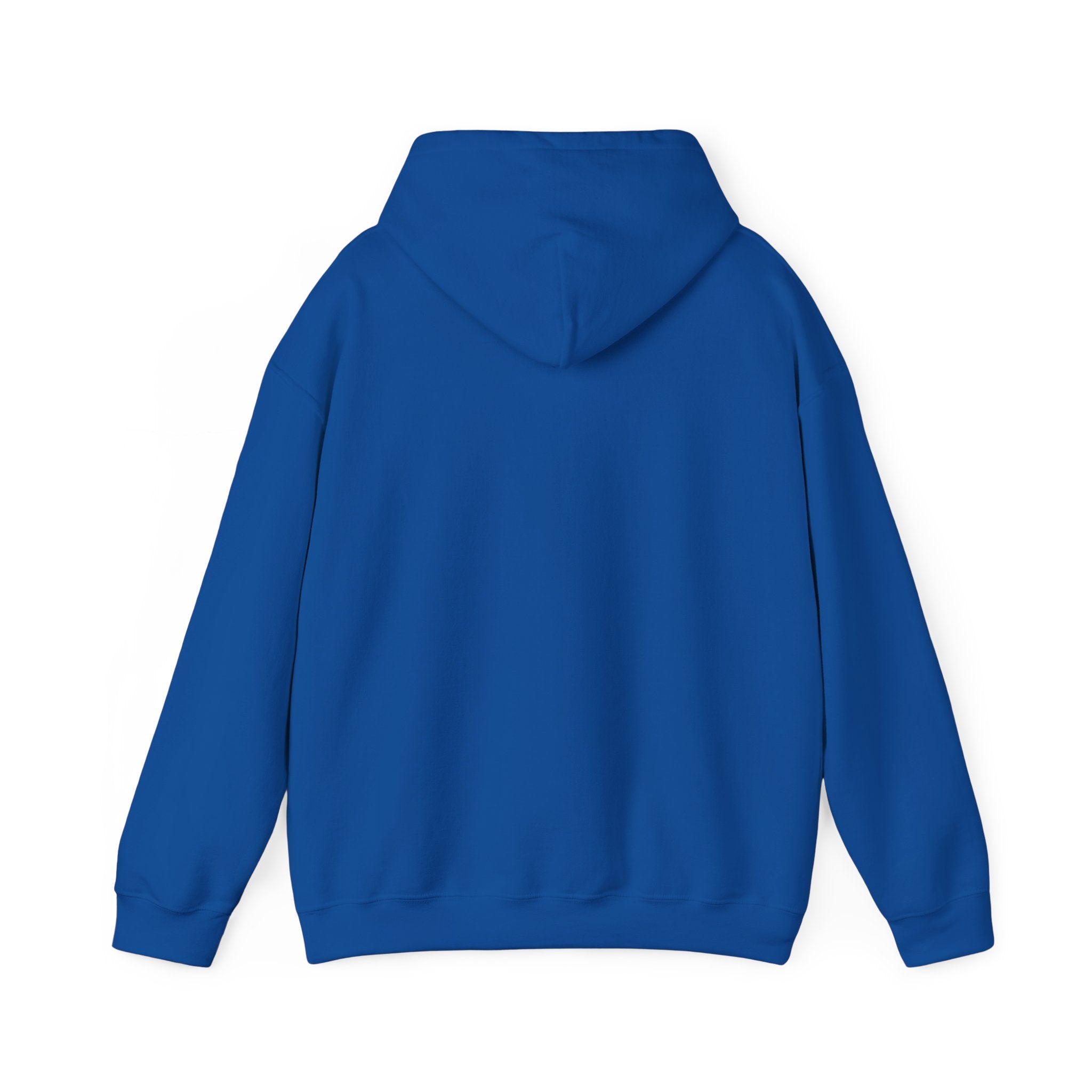 Hoodie — "Shabbos Goy" Bold Statement Pullover