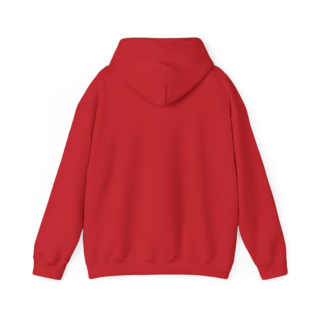 Hoodie — "Shabbos Goy" Bold Statement Pullover