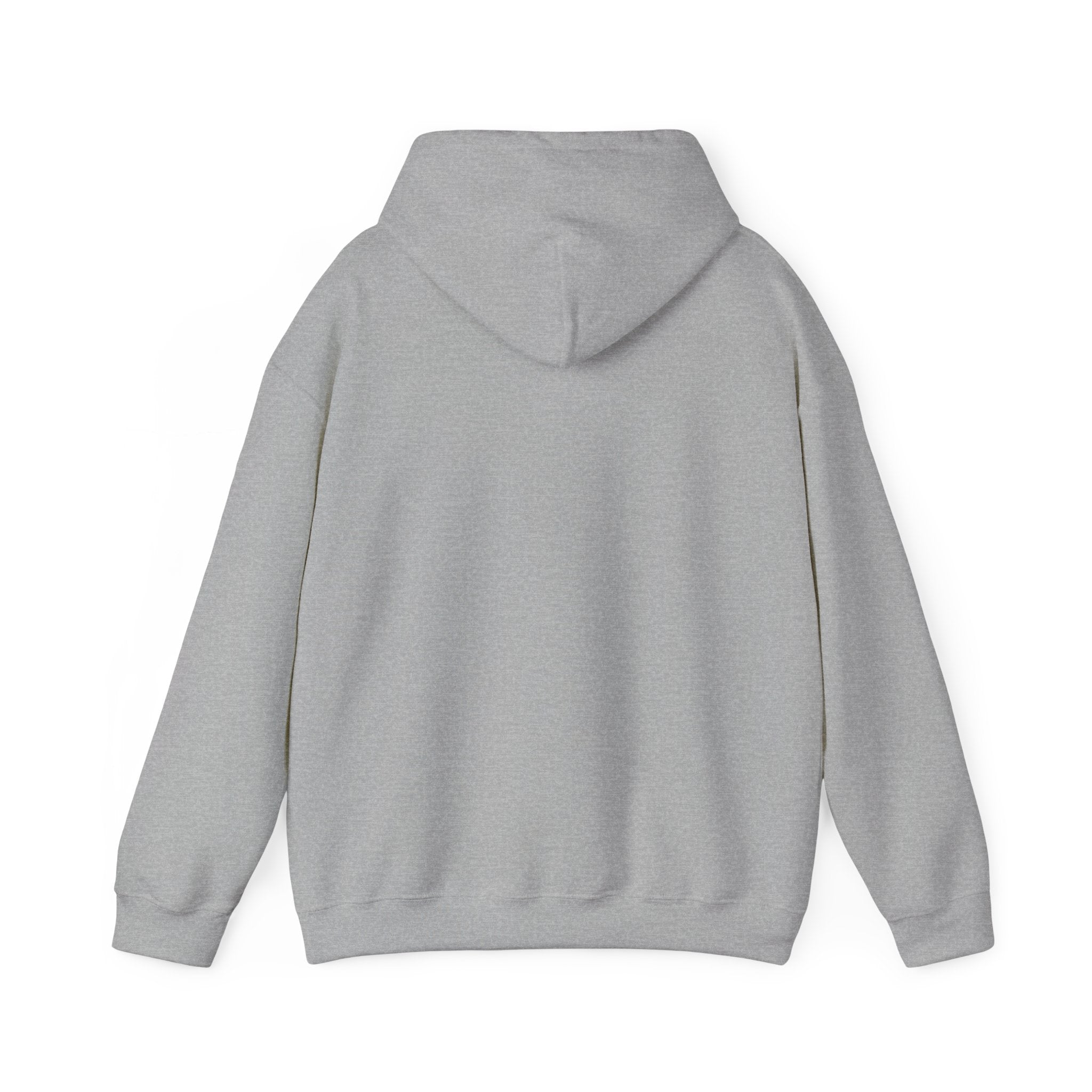 Hoodie — "Shabbos Goy" Bold Statement Pullover