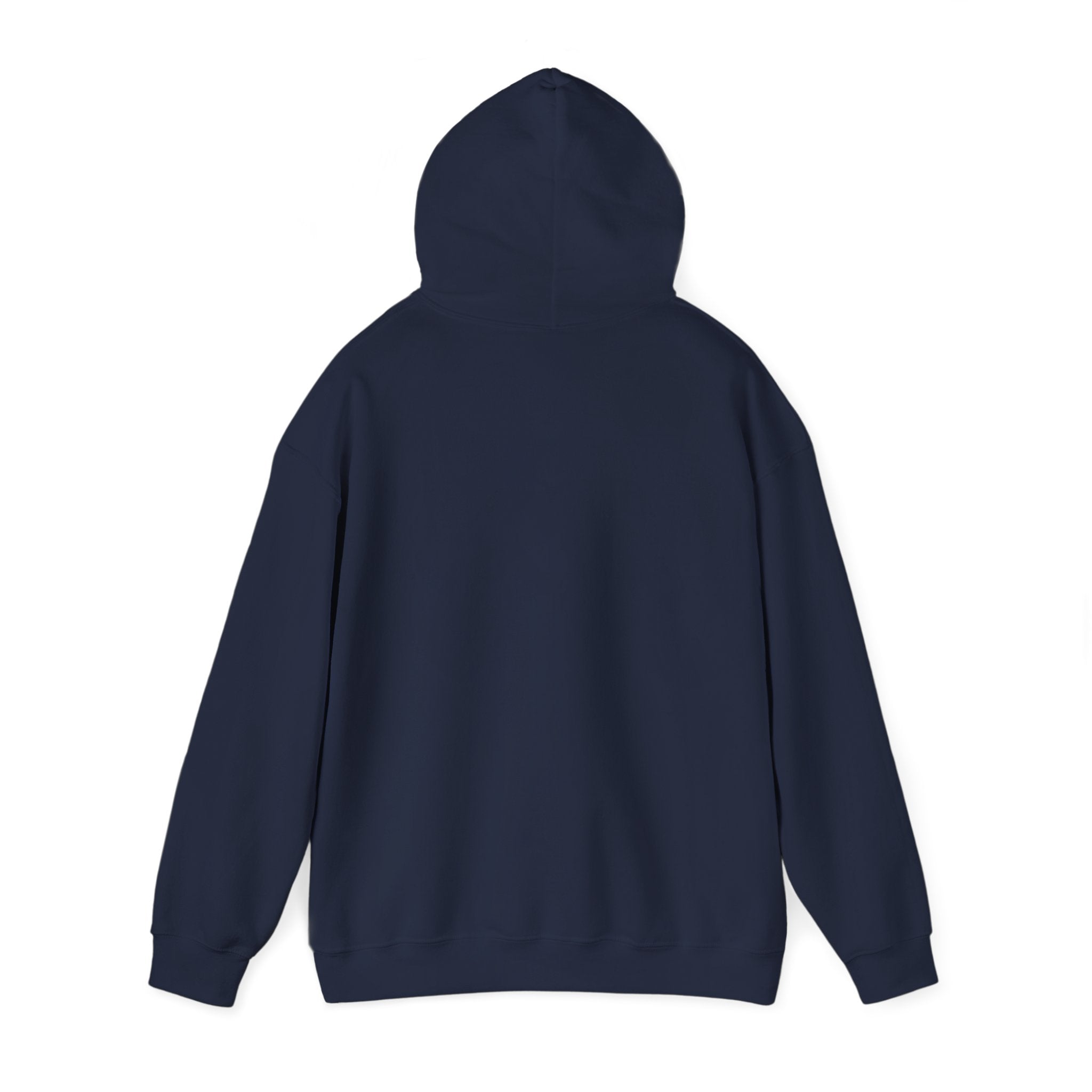 Hoodie — "Shabbos Goy" Bold Statement Pullover