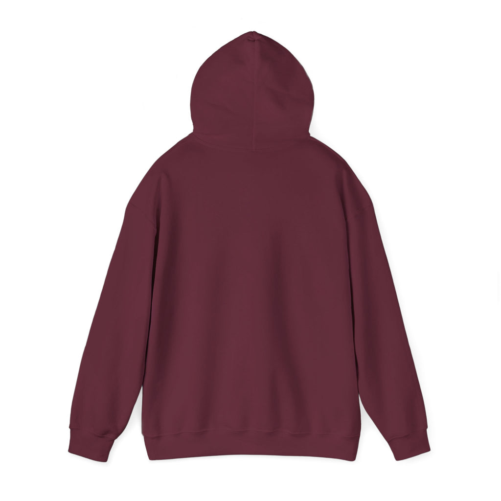 Hoodie — "Shabbos Goy" Bold Statement Pullover
