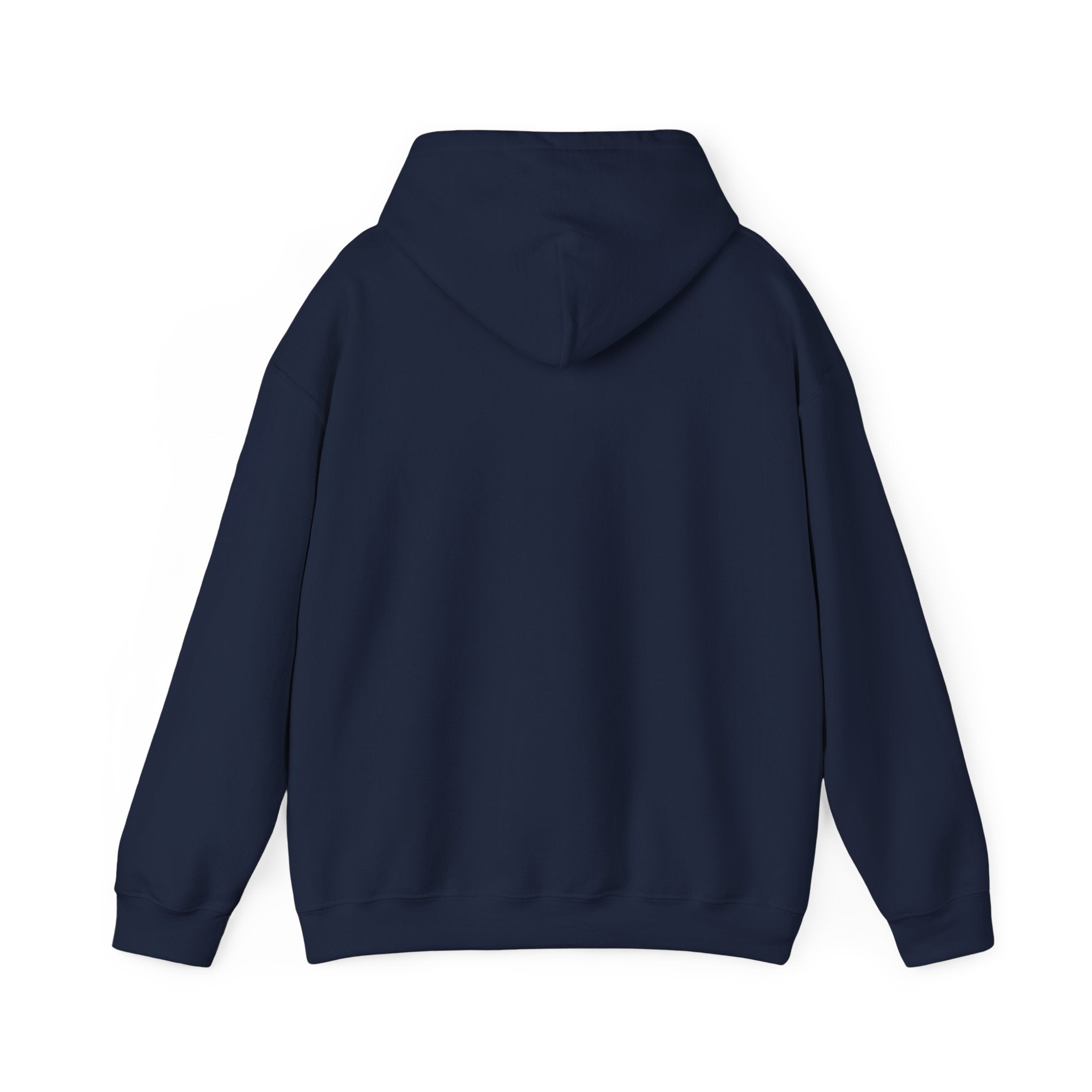 Hoodie — "Shabbos Goy" Bold Statement Pullover