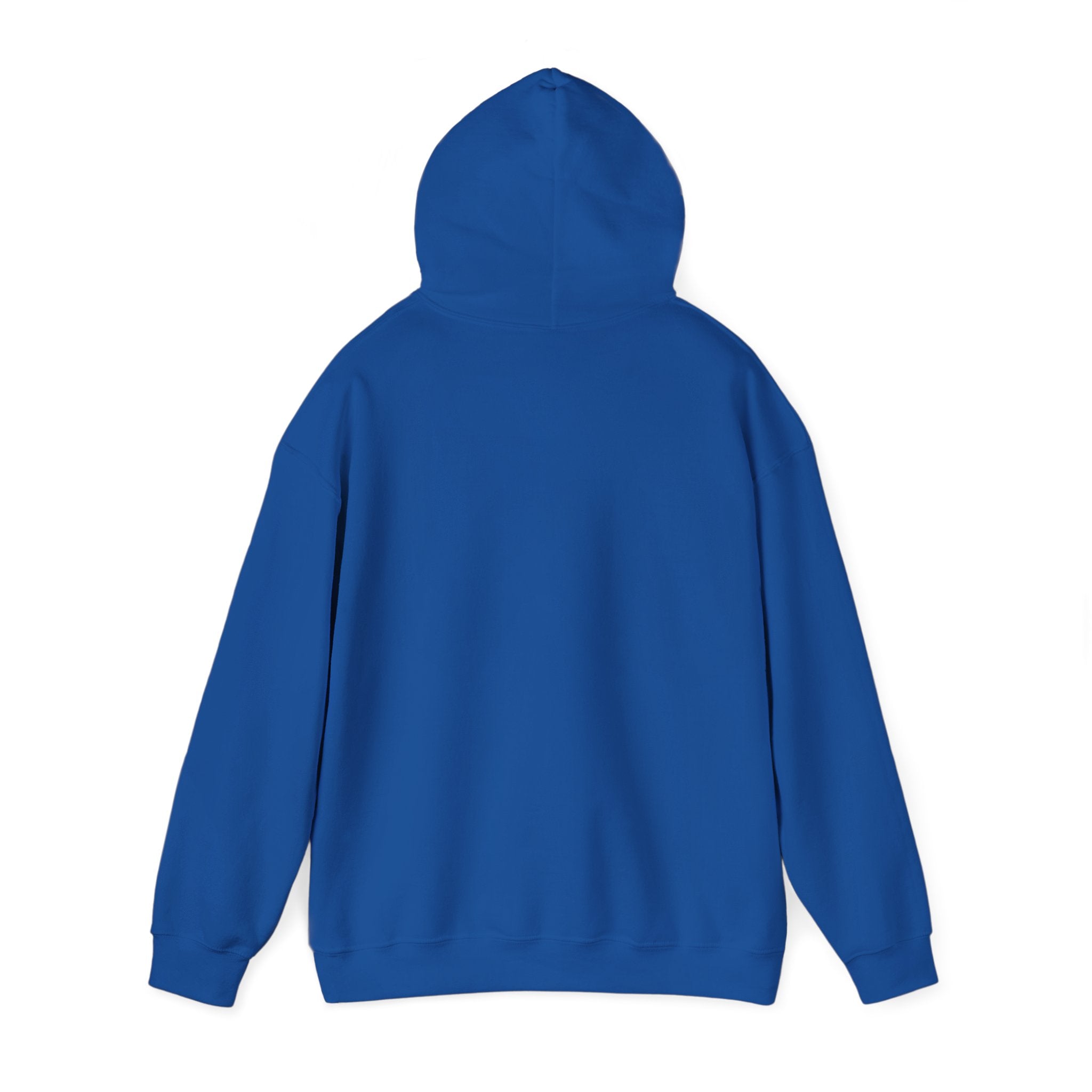 Hoodie — "Shabbos Goy" Bold Statement Pullover