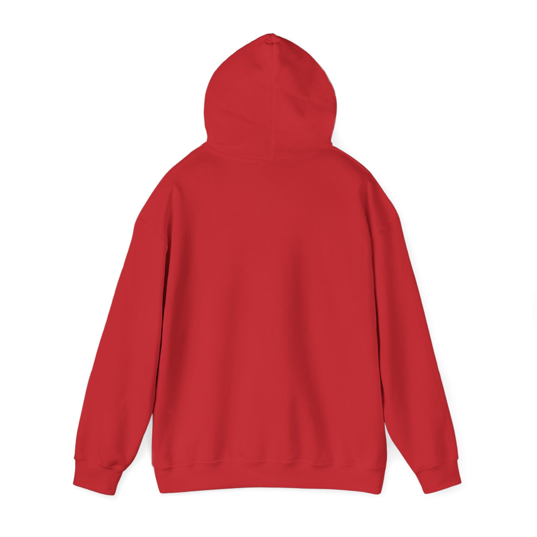 Hoodie — "Shabbos Goy" Bold Statement Pullover