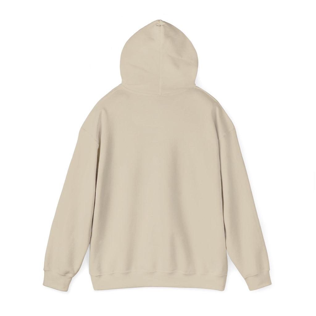 Hoodie — "Shabbos Goy" Bold Statement Pullover