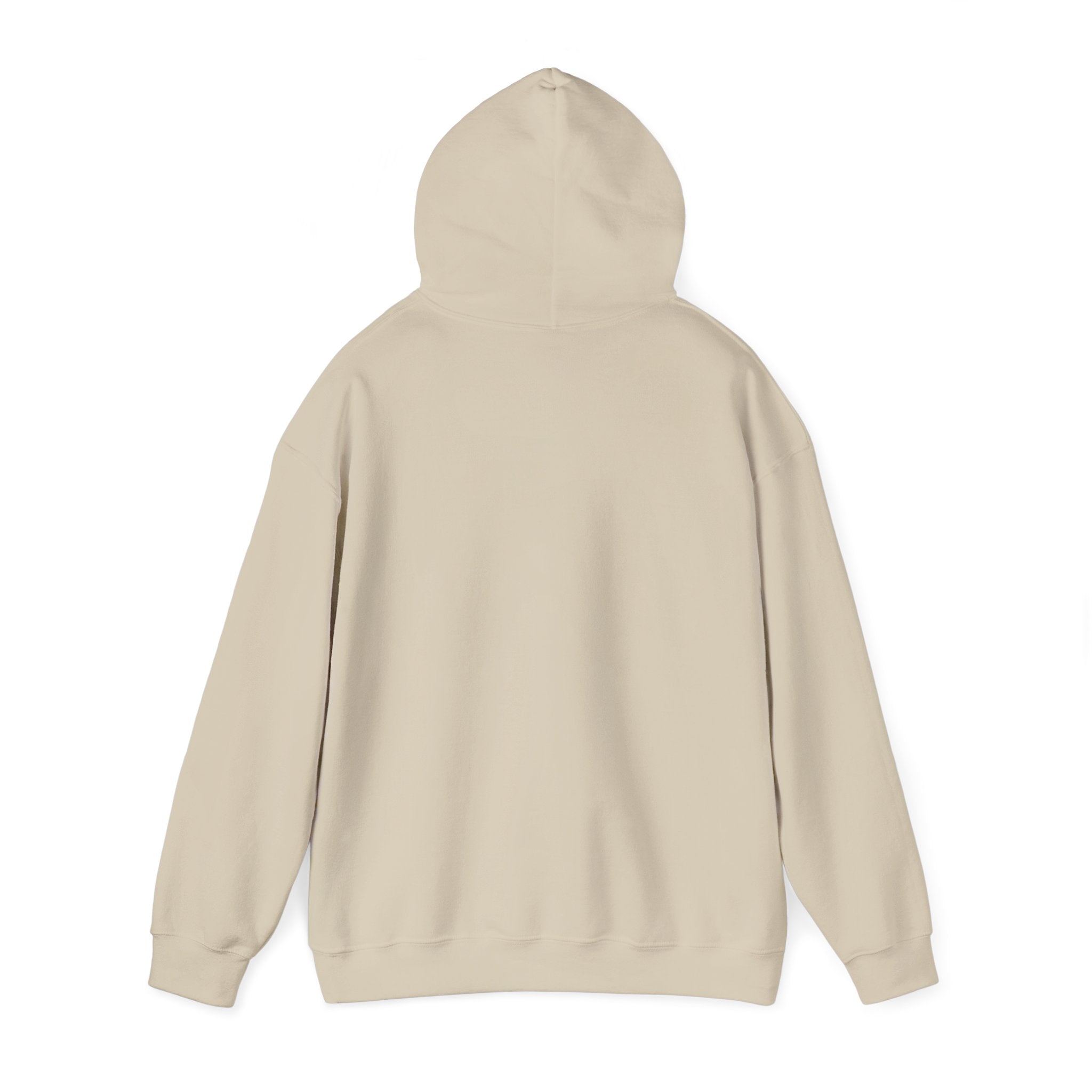 Hoodie — "Shabbos Goy" Bold Statement Pullover