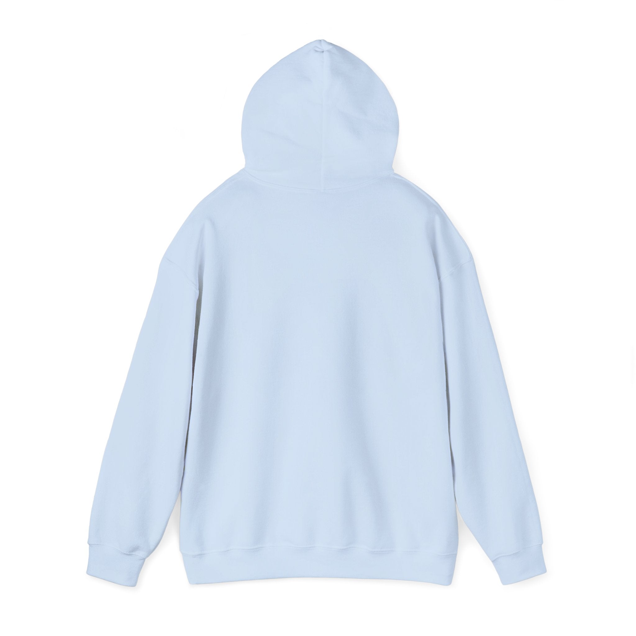 Hoodie — "Shabbos Goy" Bold Statement Pullover