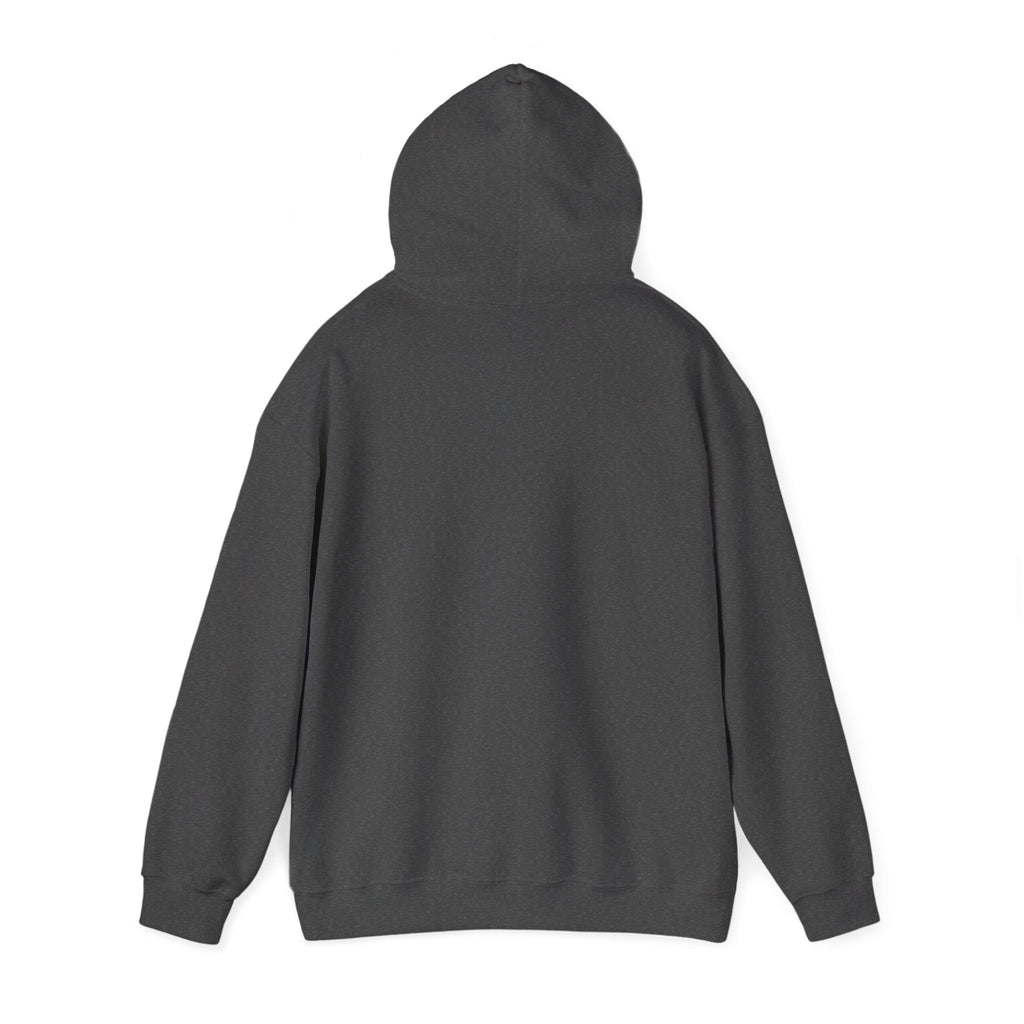 Hoodie — "Shabbos Goy" Bold Statement Pullover