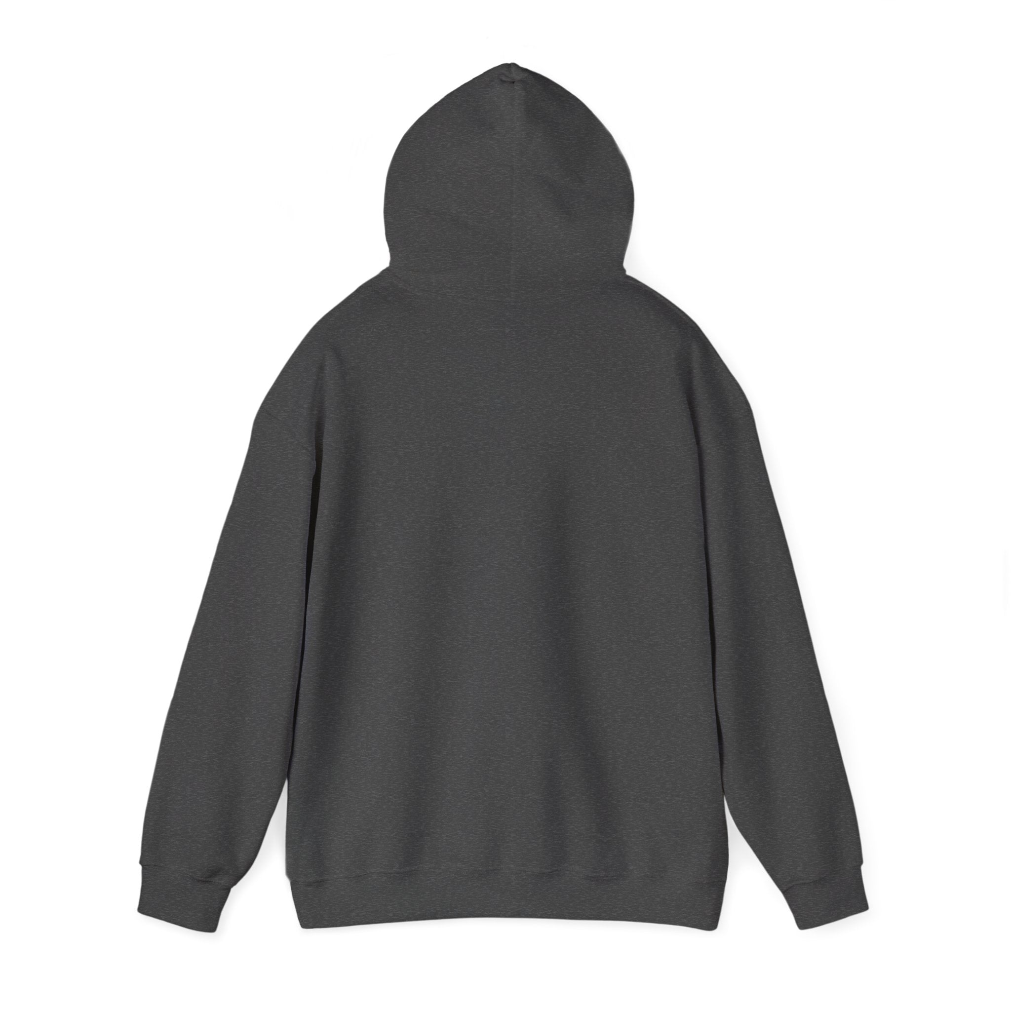 Hoodie — "Shabbos Goy" Bold Statement Pullover