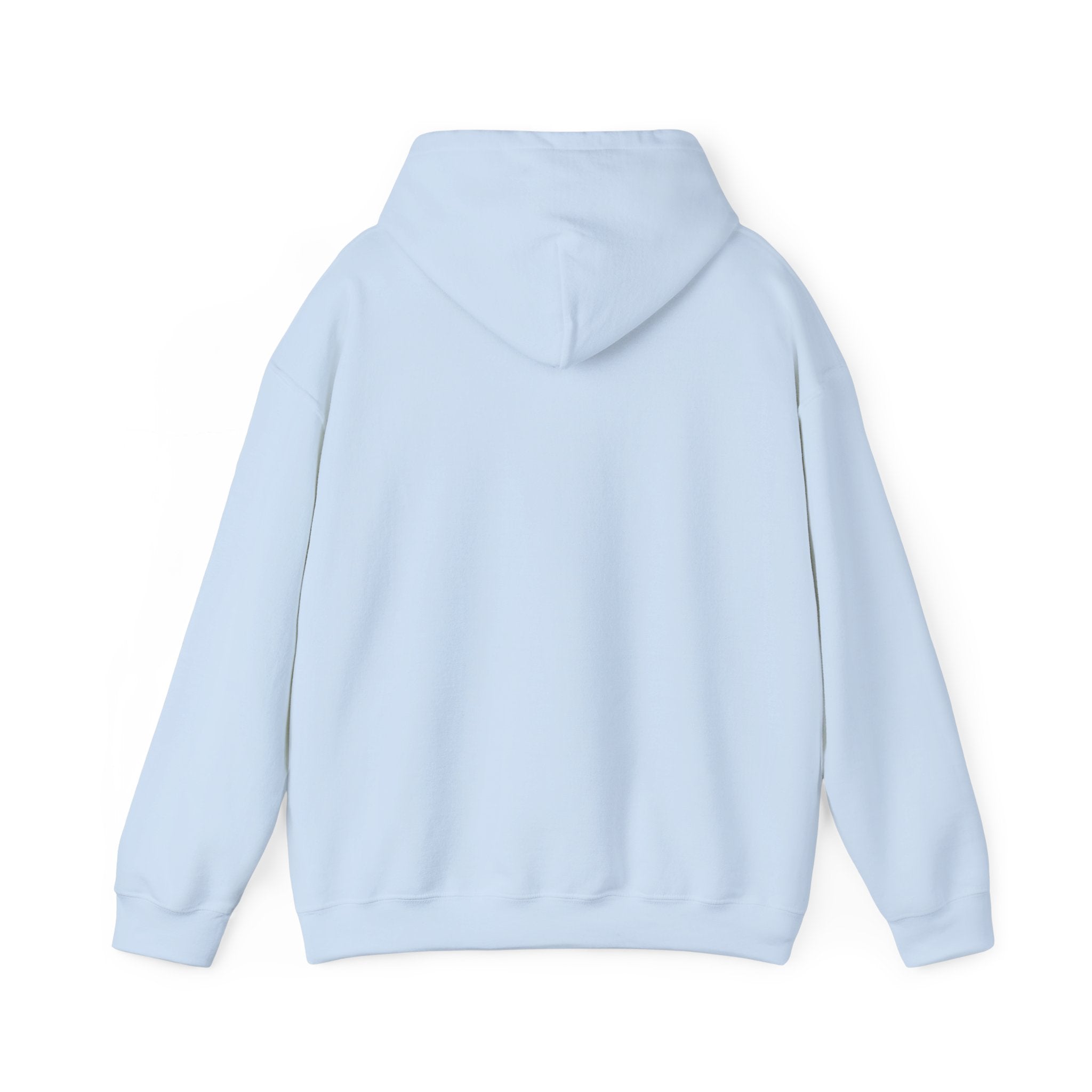 Hoodie — "Shabbos Goy" Bold Statement Pullover