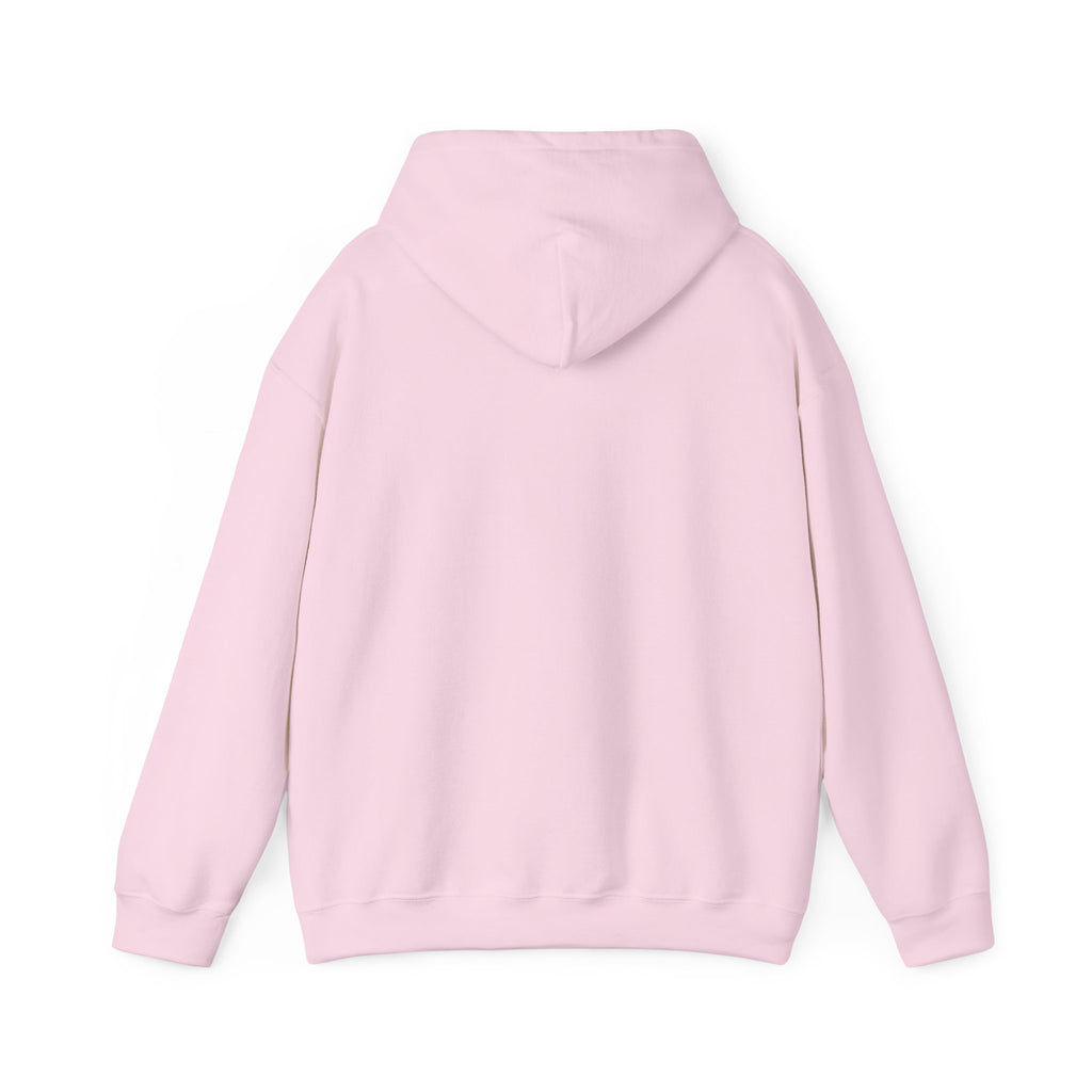 Hoodie — "Shabbos Goy" Bold Statement Pullover